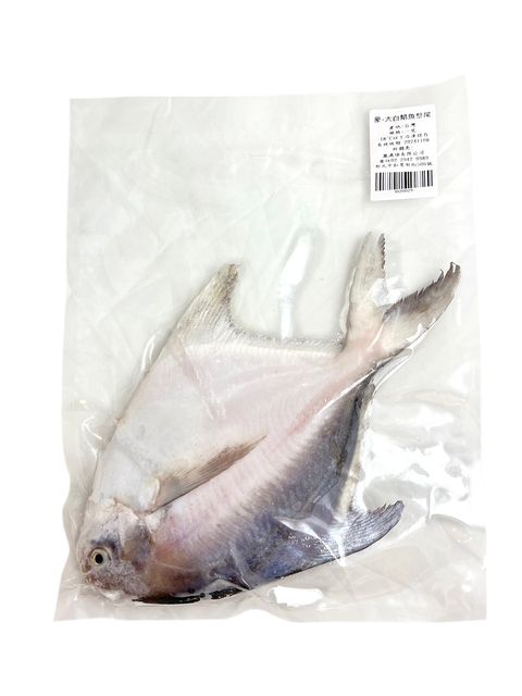 1020029 豪-大白鯧魚整尾