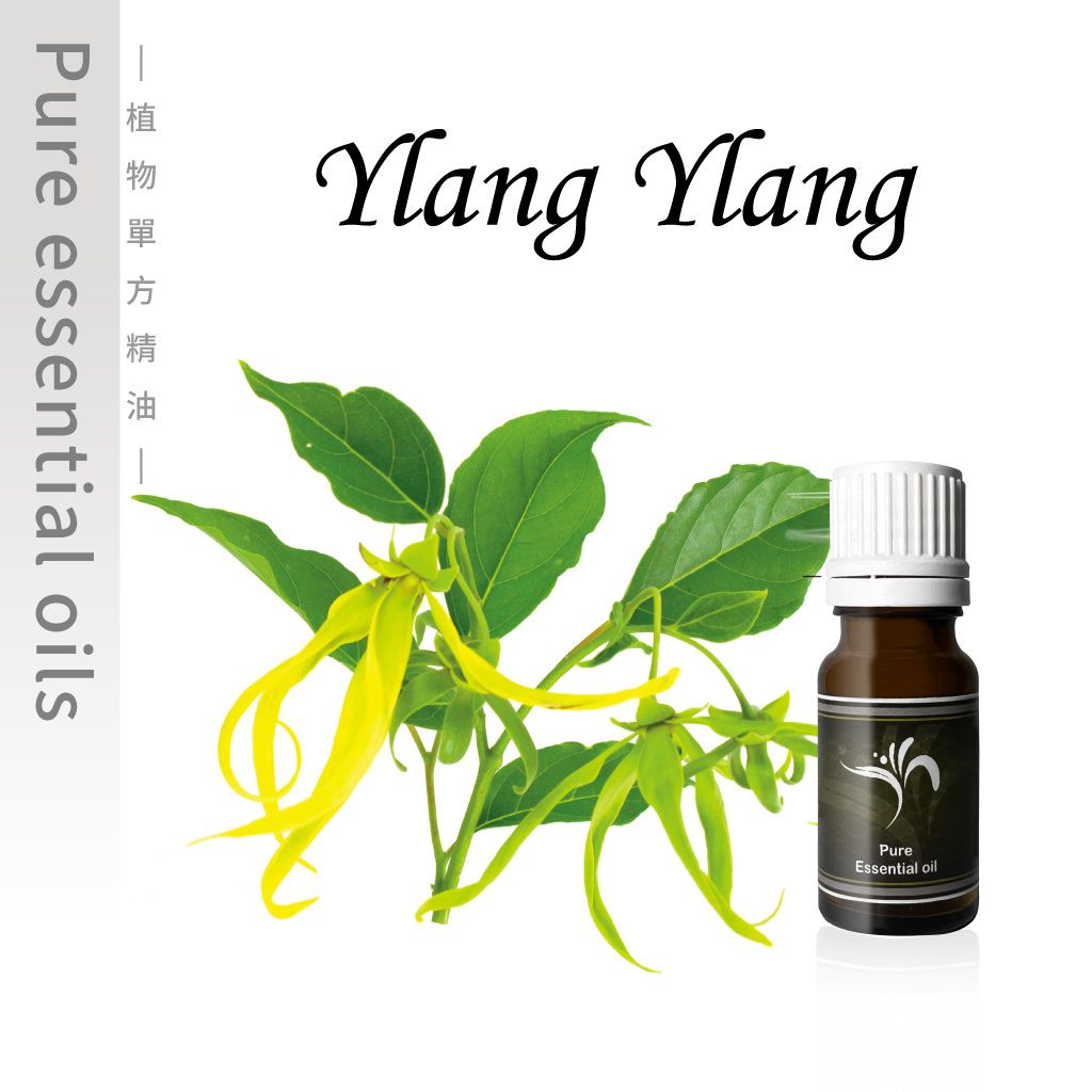 ylang-6