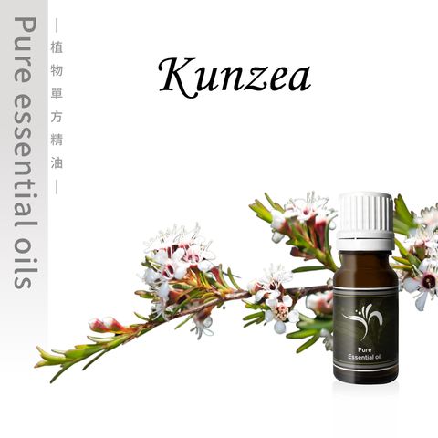 Kunzea-100