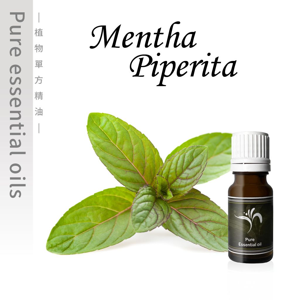 Mentha  Piperita-100