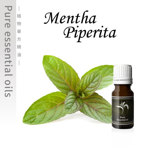 Mentha  Piperita-100