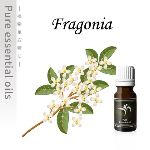 Fragonia-100