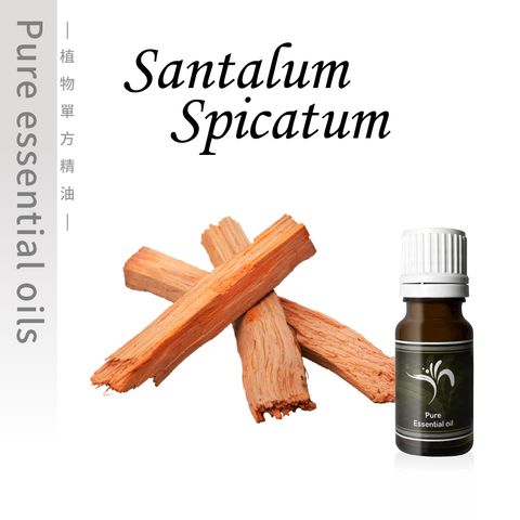 Santalum Spicatum-100