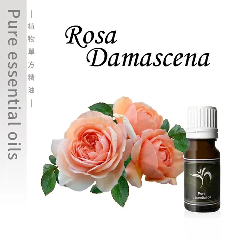 Damascena-100