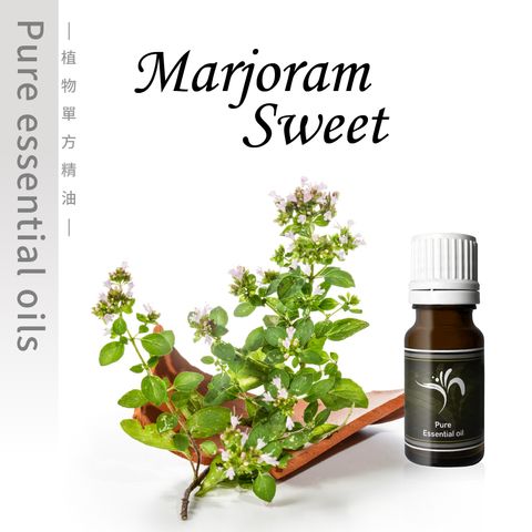 Marjoram sweet-100