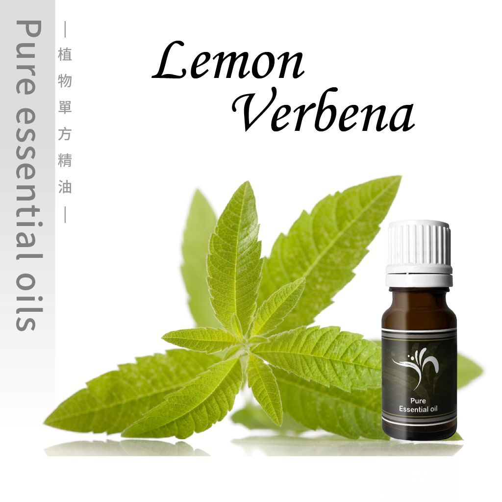 Lemon verbena-100