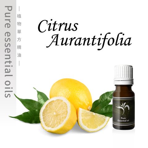 Citrus Aurantifolia-100