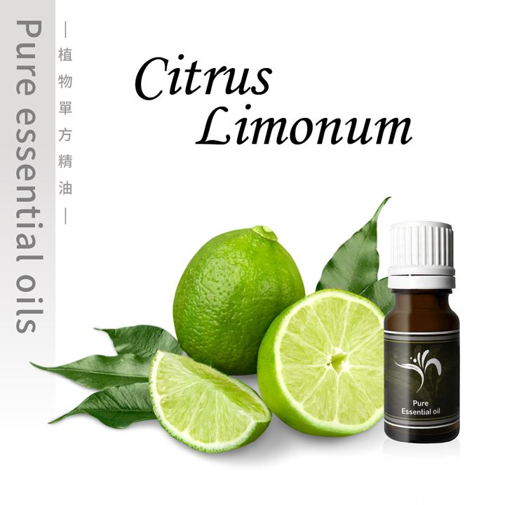 Citrus Limonum-100
