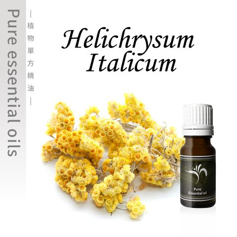 Helichrysum Italicum-100