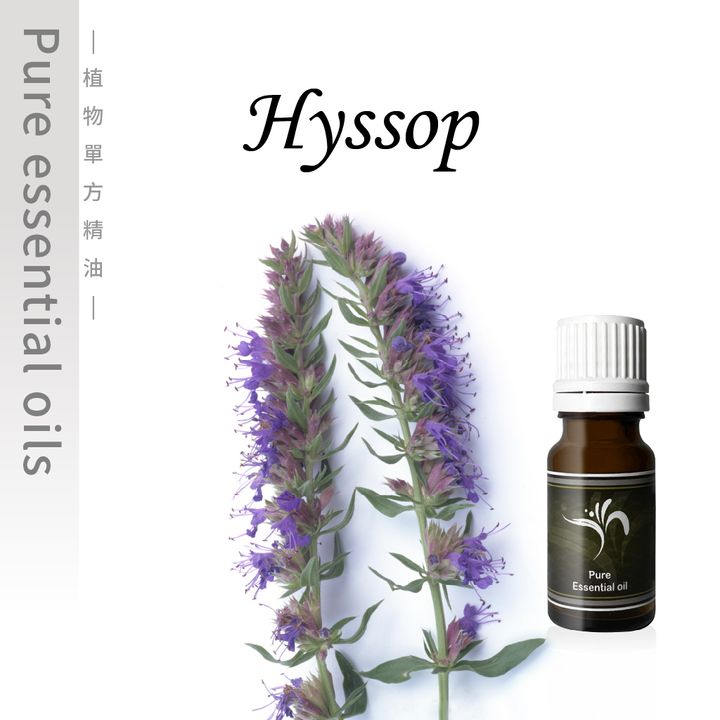 Hyssop-100