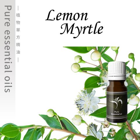Lemon-Myrtle