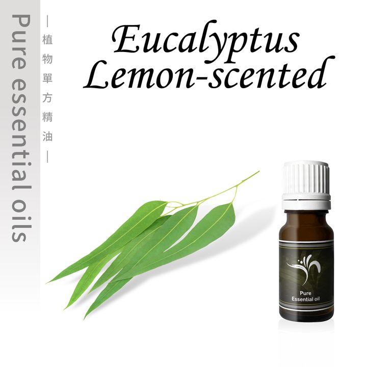 Eucalyptus-Lemon-scented