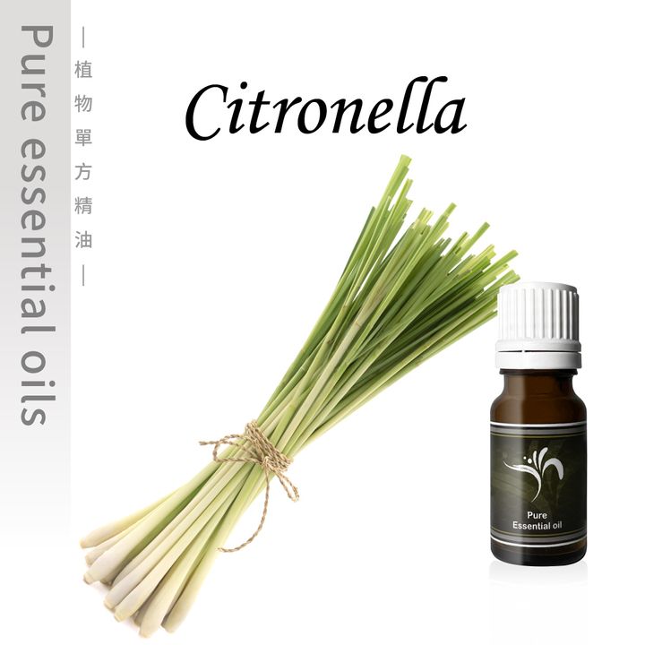 Citronella