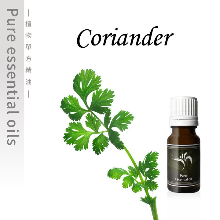 Coriander-100