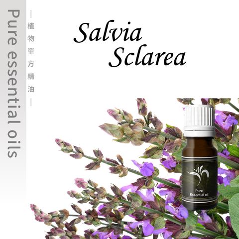 Salvia Sclarea-100