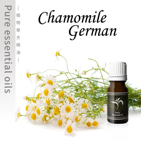 Chamomile-German