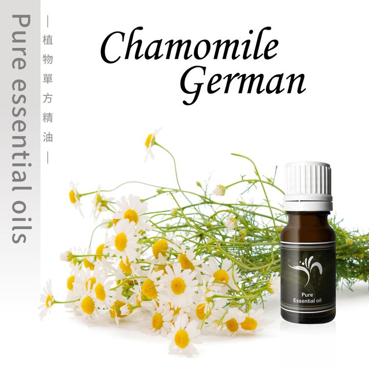 Chamomile-German