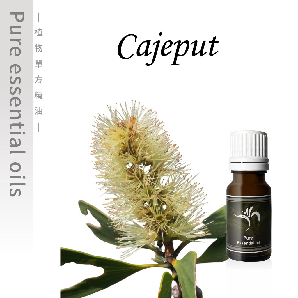 Cajeput-100