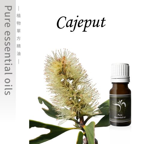 Cajeput-100