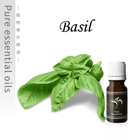 Basil-100