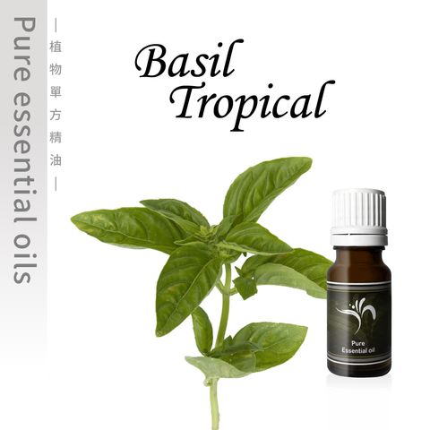 basil Tropical-100