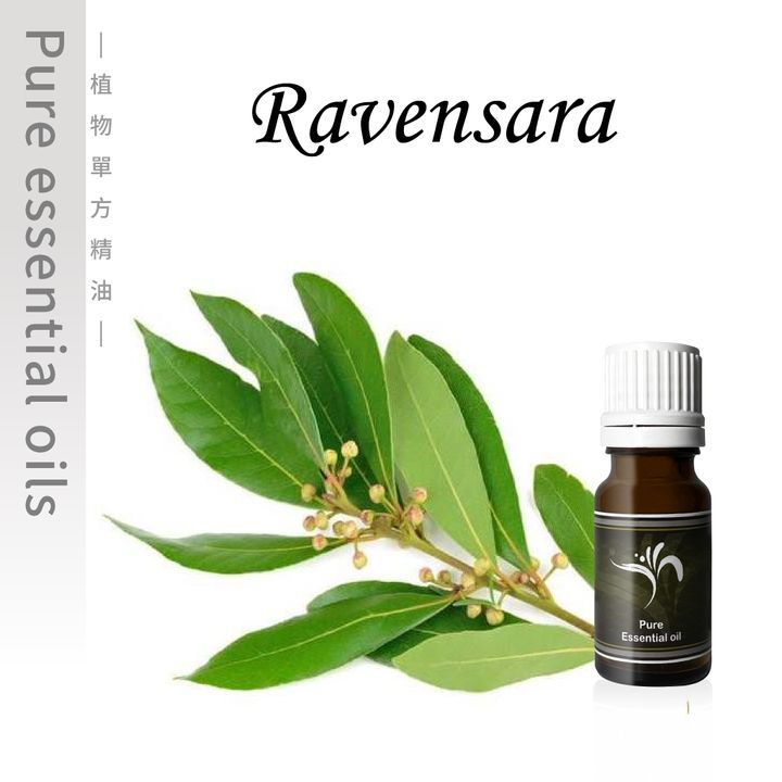 Ravensara