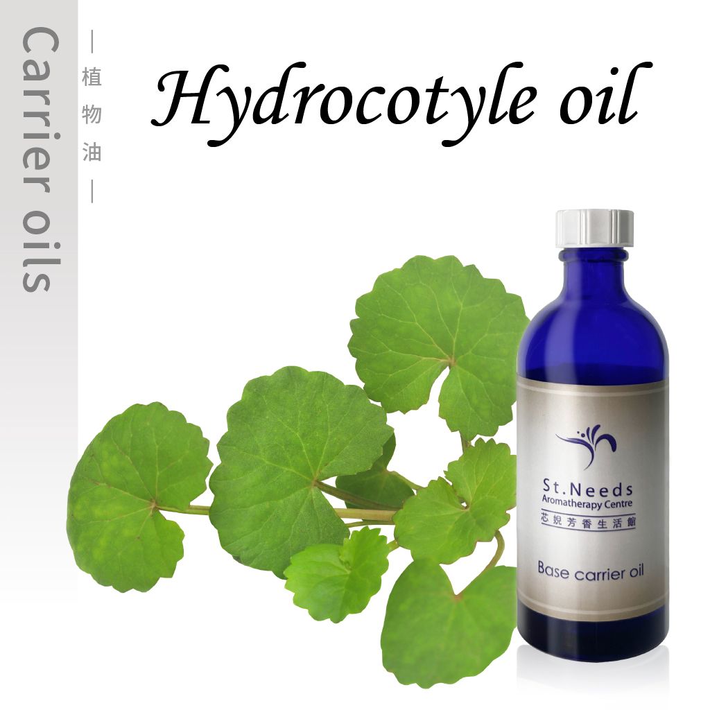 Hydrocotyle -100