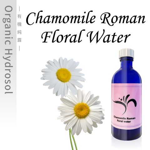 Chamomile Roman-1