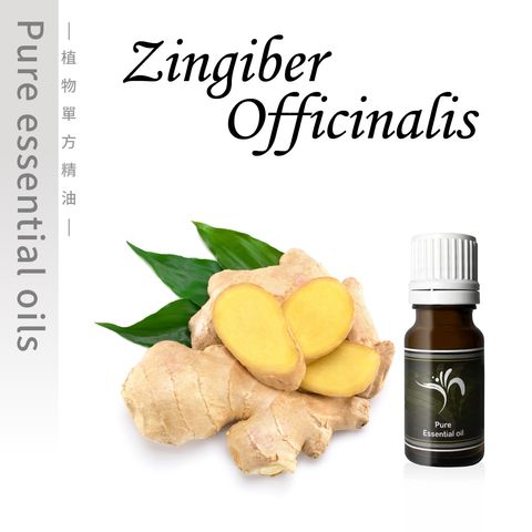 Zingiber-100