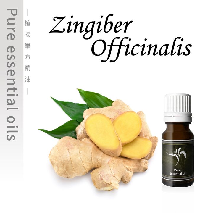 Zingiber-100