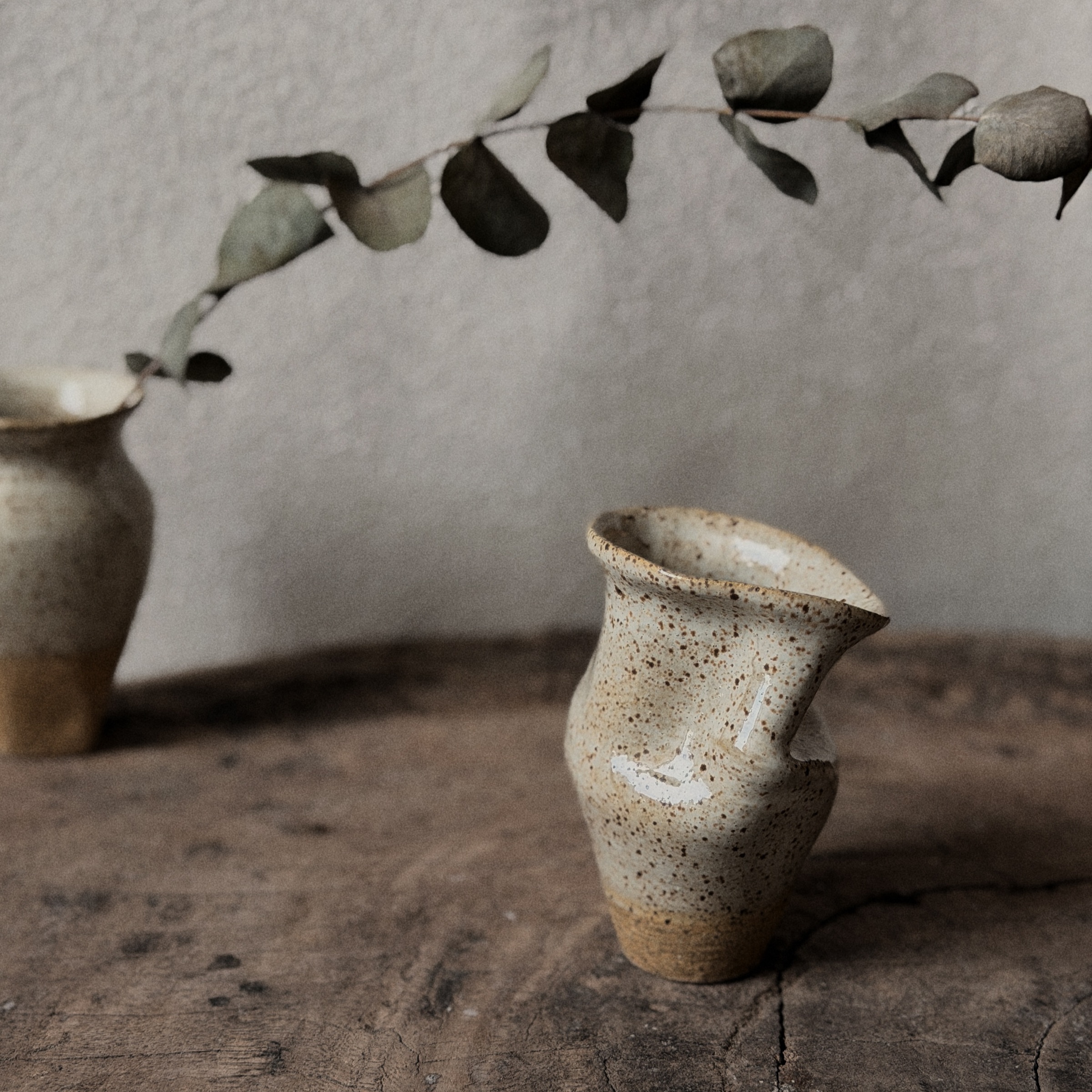 image_A3653404-ECB7-4D09-8074-C88FF3E05057_1765530798