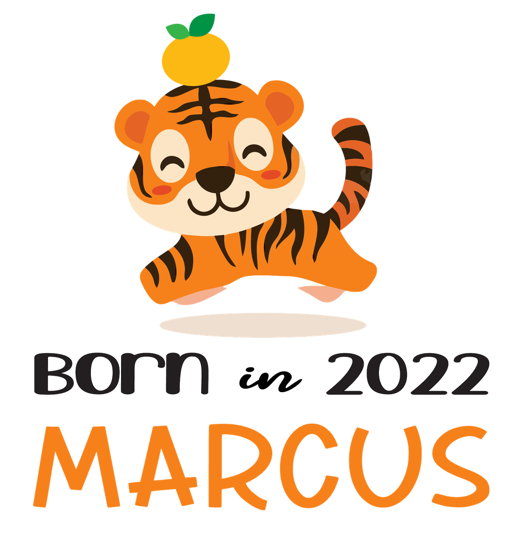 BornACuteTiger-02