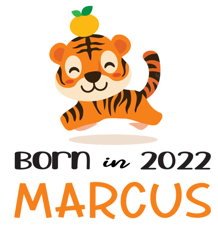 BornACuteTiger-02