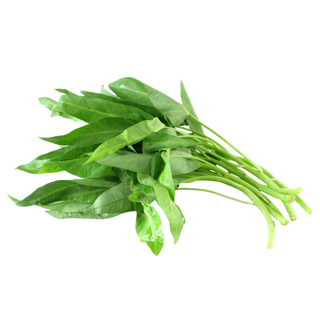 Water Spinach (Kangkong) amaneco