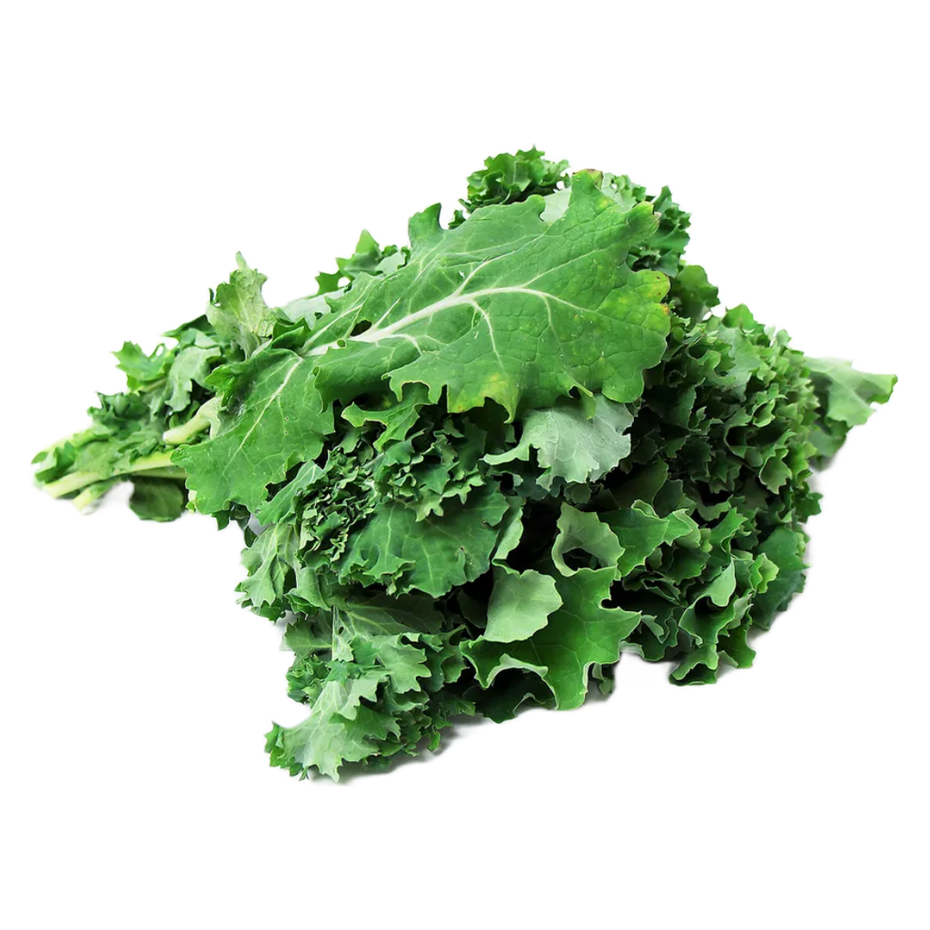 Siberian Kale 2