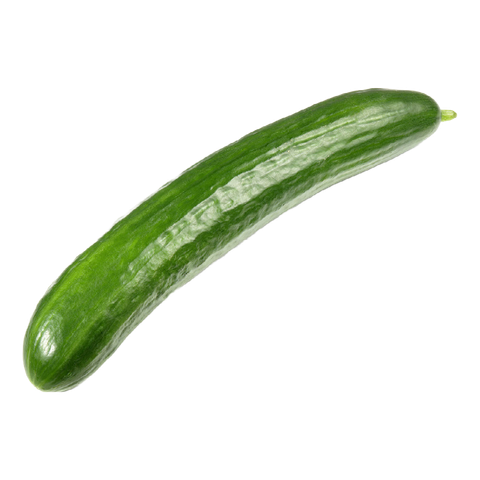 Japanese Cucumber01