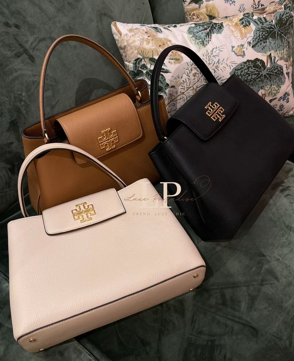 IMG_1409-1739257390017