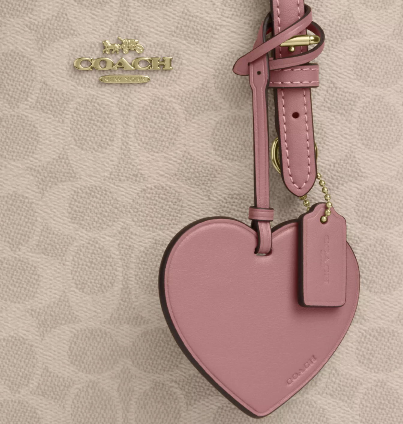 Screenshot 2026-01-15 at 10.19.19 AM