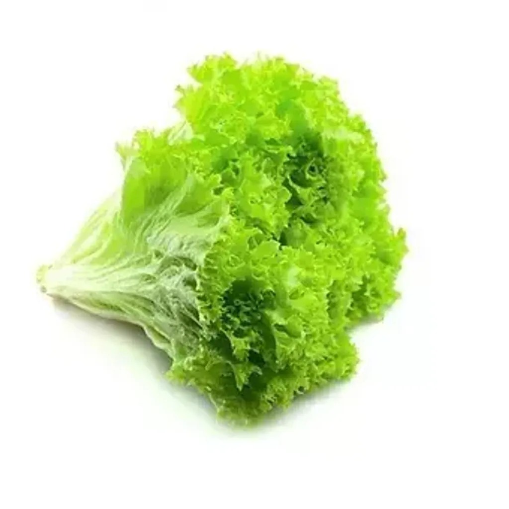 249310_2ab35c5c102e4634843d42574bfd300f~mv2