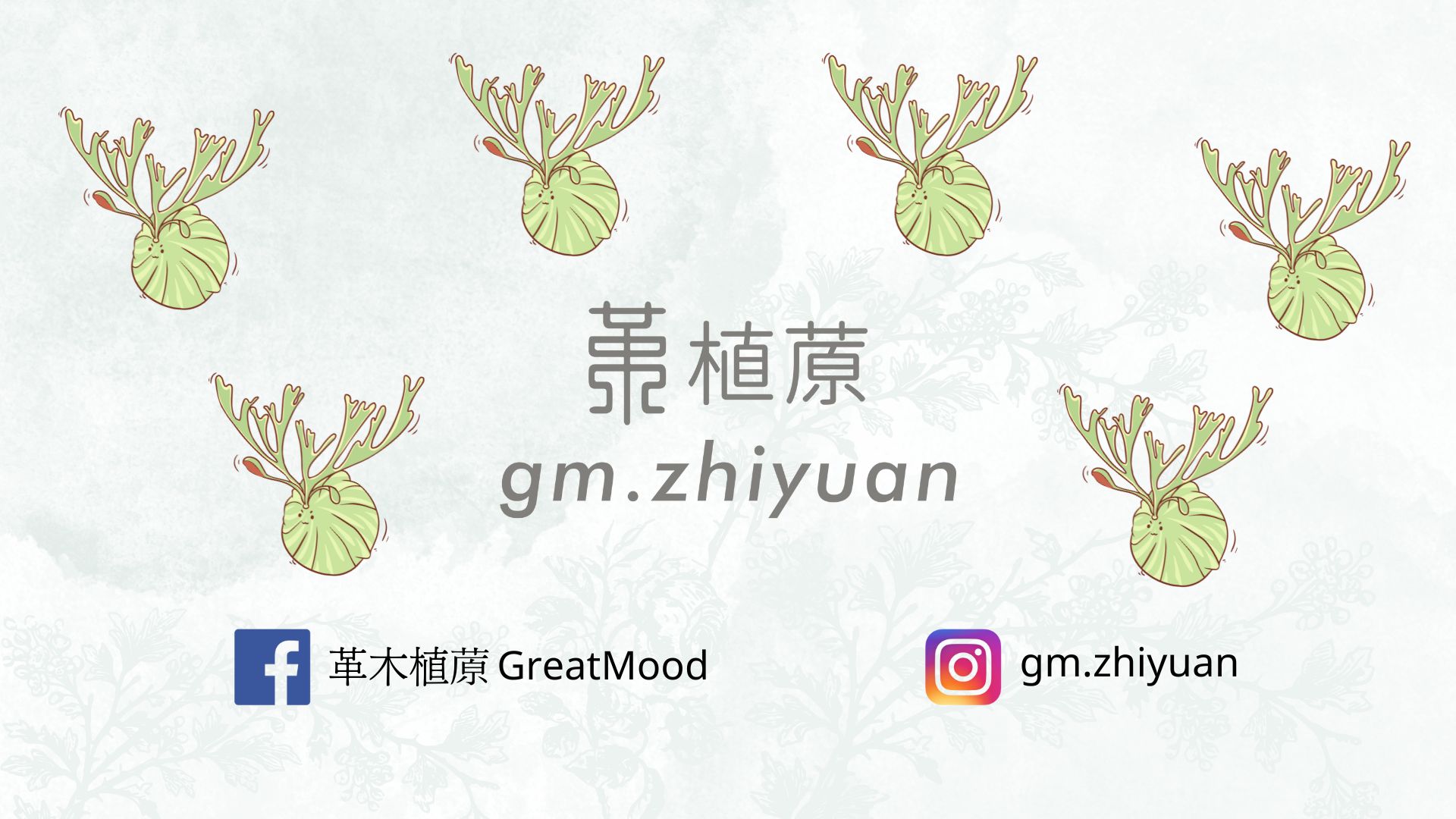 新開幕!! 全館優惠折扣~~