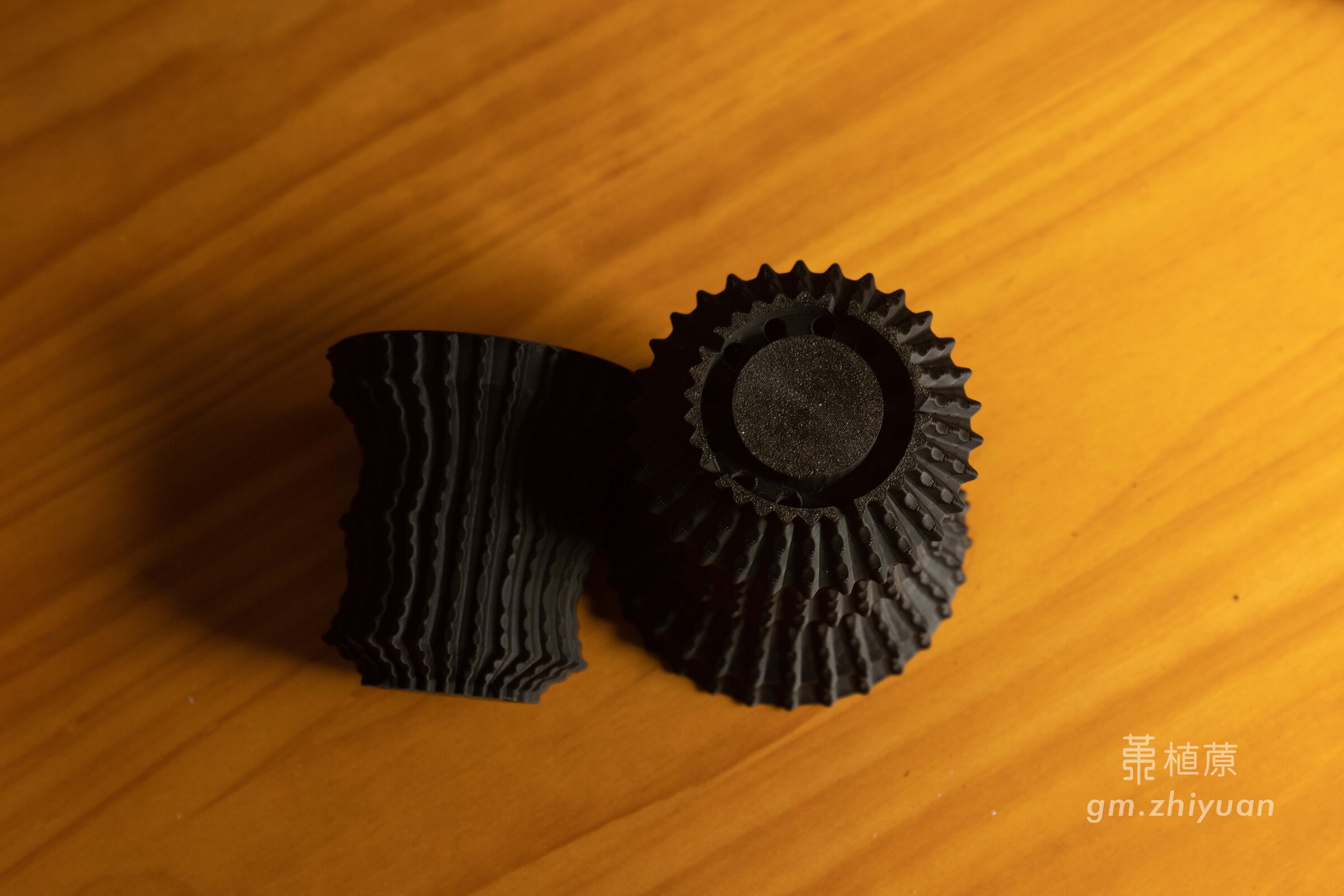 250226-照片LOGO (2- 5)