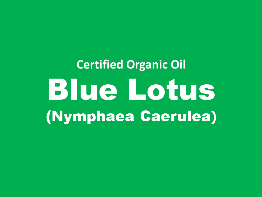 Blue lotus.png
