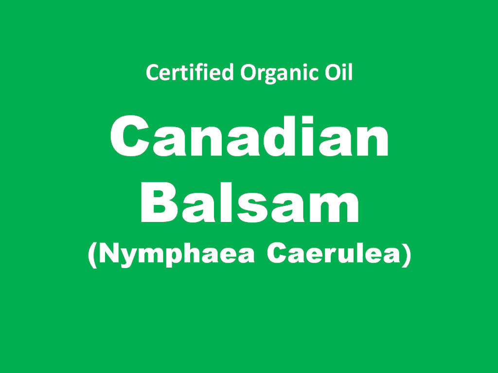 canadian balsam.png