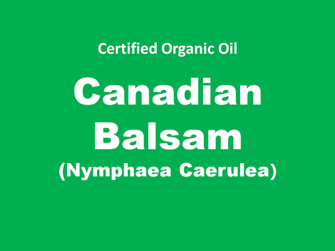 canadian balsam.png