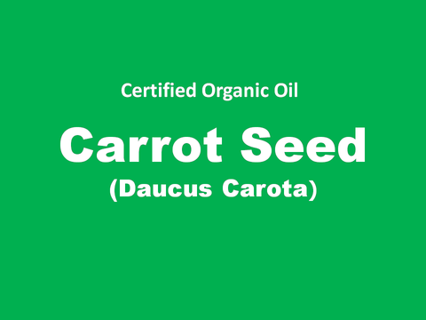 carrot seed.png