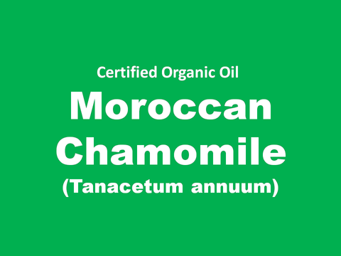 moroccan chamomile.PNG