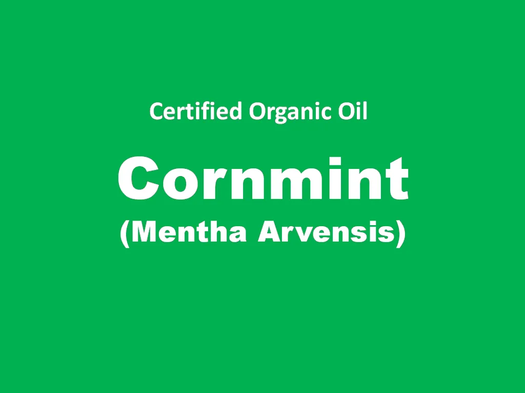 cornmint.png
