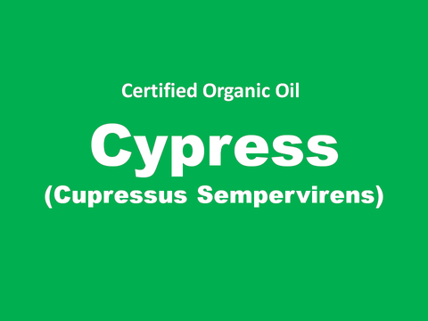 cypress.png