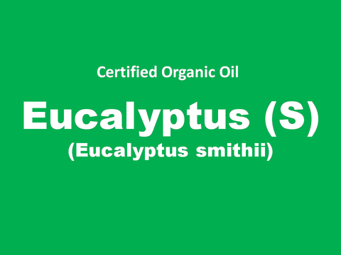 eucalyptus (s).PNG