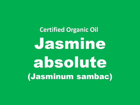 jasmine absolute.PNG